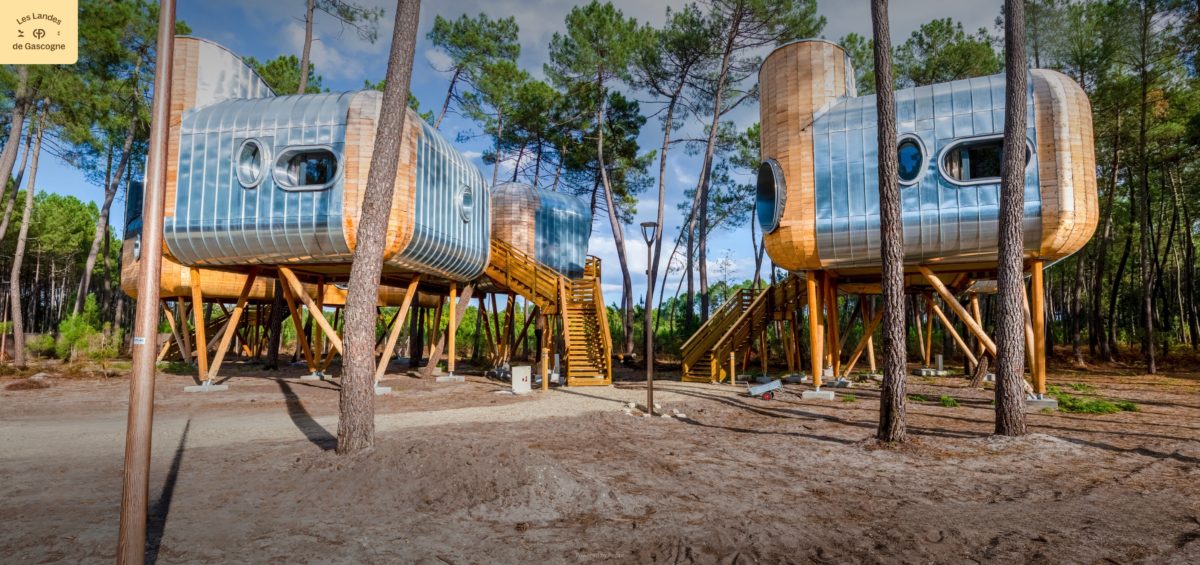 Vue sur les cabanes dans les arbres du cottage de Center Parcs Le Landes de Gascogne. Pieds en bois lamellé-collé réalisés par Woodspars, le spécialiste Français du bois rond sur mesure.