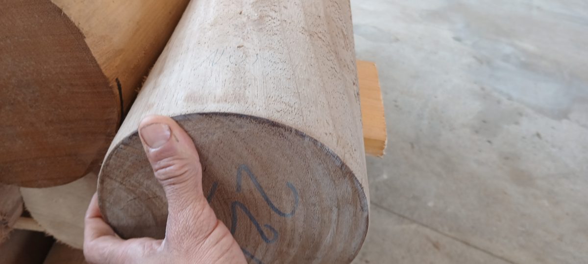 Gros plan sur une main tenant un rondin de bois massif, mettant en valeur la qualité du bois et son état de surface.