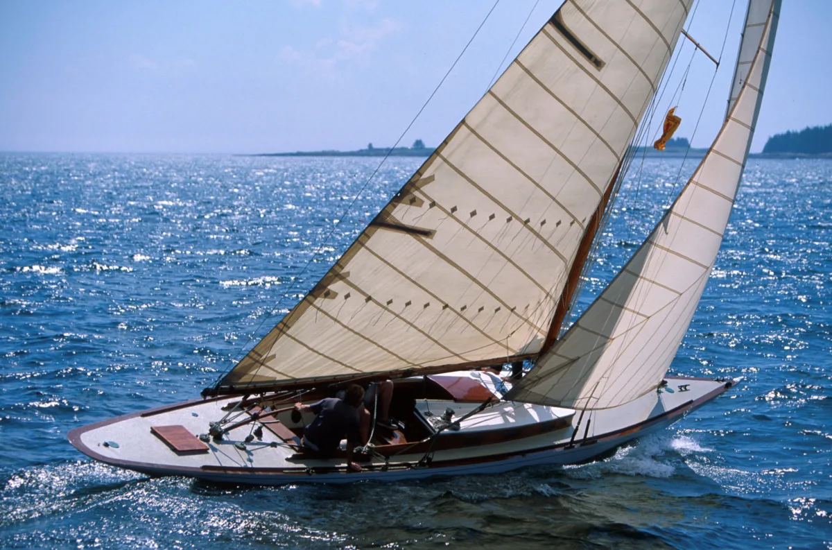 Le Fifi classe 6mJI en pleine navigation toutes voiles dehors sous le soleil.